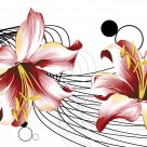 百合花三联挂画图片大全