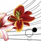 百合花三联挂画图片大全