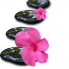 清爽风景三联画图片大全