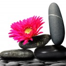 清爽风景三联画图片大全