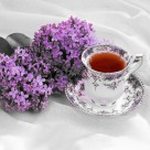 清爽风景三联画图片大全