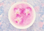 温馨粉色花朵图片