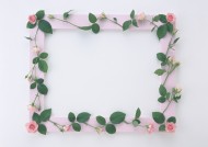 缠绕相框的花朵图片