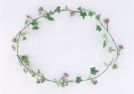 树叶、树枝绿色植物边框图片