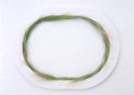 树叶、树枝绿色植物边框图片