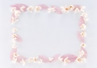 树叶、树枝绿色植物边框图片