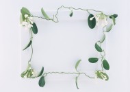 白色画框和绿树叶图片