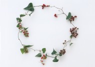 圣诞气息花草边框图片