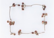 圣诞气息花草边框图片