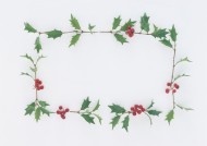 圣诞气息花草边框图片