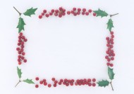圣诞气息花草边框图片