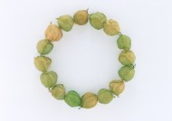 蔬果花环，画框图片