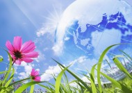 花朵和地球设计图片