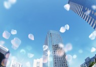 花朵和地球设计图片