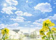 花朵和地球设计图片