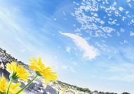 花朵和地球设计图片