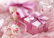 春季花朵素材图片