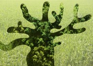 绿色、生命和水图片