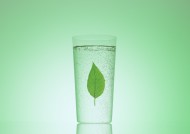 绿色、生命和水图片