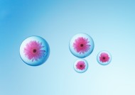 绿色、生命和水图片