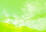 气泡和树叶图片