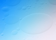 气泡和树叶图片