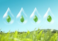 绿色生活和水图片