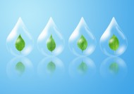 绿色生活和水图片