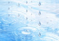 绿色生活和水图片