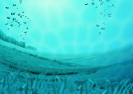 绿色生活和水图片