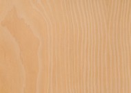 木质花纹图片大全