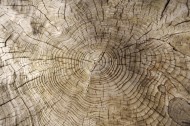 木纹背景图片