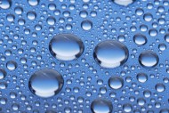 晶莹水珠图片大全