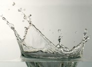 晶莹水珠图片大全