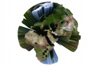 创意3D地球图片大全