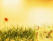 节庆中国风背景图片