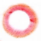 环形彩色墨染图片大全