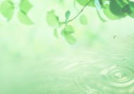空气和水的绿意图片