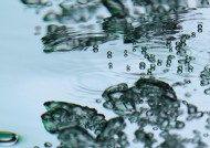 水花水气泡图片