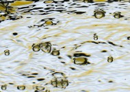 水花水气泡图片