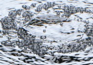 水花水气泡图片