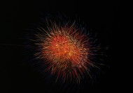 绚丽烟花图片