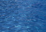 水波纹特写图片