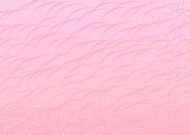 典雅梦幻花朵背景图片