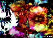 抽象设计图片大全