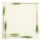 精美花草相框图片