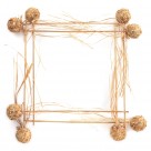 精美花草相框图片