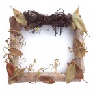 精美花草相框图片