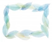 精美花草相框图片