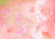 鲜花季节之春图片